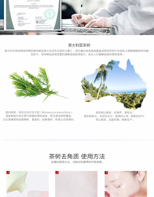 Fan Tea Tree Tẩy tế bào chết Kem tẩy tế bào chết Nhẹ nhàng tẩy tế bào chết Dầu tẩy tế bào chết