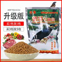 Jane Jus bird food food feed nutrition bird food bird food bird feed bird food bird food bird food food bird food Bird bird food special food food food
