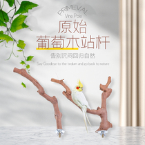 Grapevine station pole Xuanfeng tiger skin peony parrot starlings station stick stand grinding claw stick multi fork jumping station carrying toys
