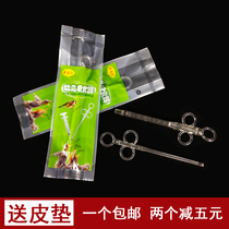 Baby bird feeder needle syringe chicks feeder bird utensils pigeon feeder pat one is a