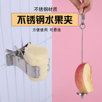 Parrot fruit fork stainless steel bird with fruit fork adhesive hook parrot supplies accessories bird eating vegetable pendant