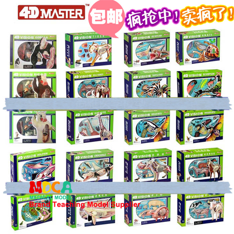 4D MASTER拼装玩具仿真动物生物鸡猫狗熊鲸鲨鱼马猪牛器官解剖