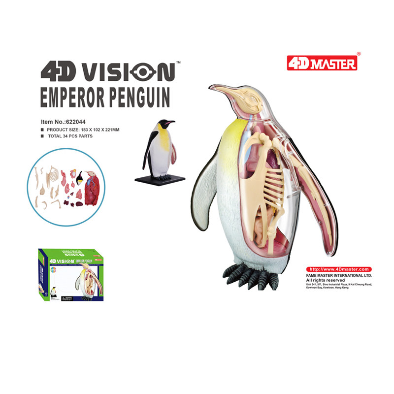 4D MASTER帝企鹅内脏器官骨骼解剖模型动物教学拼装摆件4dmaster