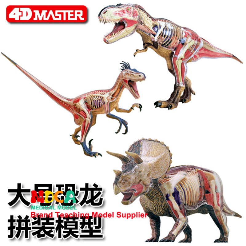 4D MASTER拼装玩具仿真动物恐龙霸王龙三角龙盗铃龙器官解剖模型