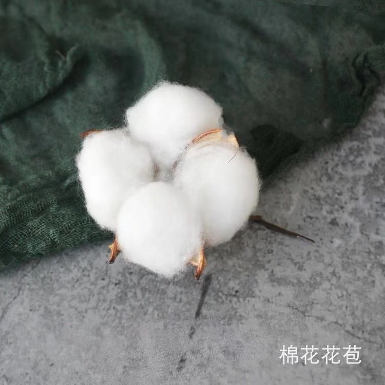 Bông thông nón bánh trang trí trang trí mạng lưới Bắc Âu ins đơn giản gió tinh khiết tự nhiên khô hoa tráng miệng mặc quần áo - Trang trí nội thất trang tri nha dep
