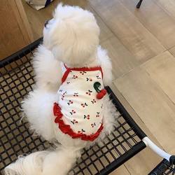 Dog and Cat Spring and Summer Suspender Dress Cute Cherry Pomeranian Bichon Teddy Puppy Pet Vest Dress Clothes