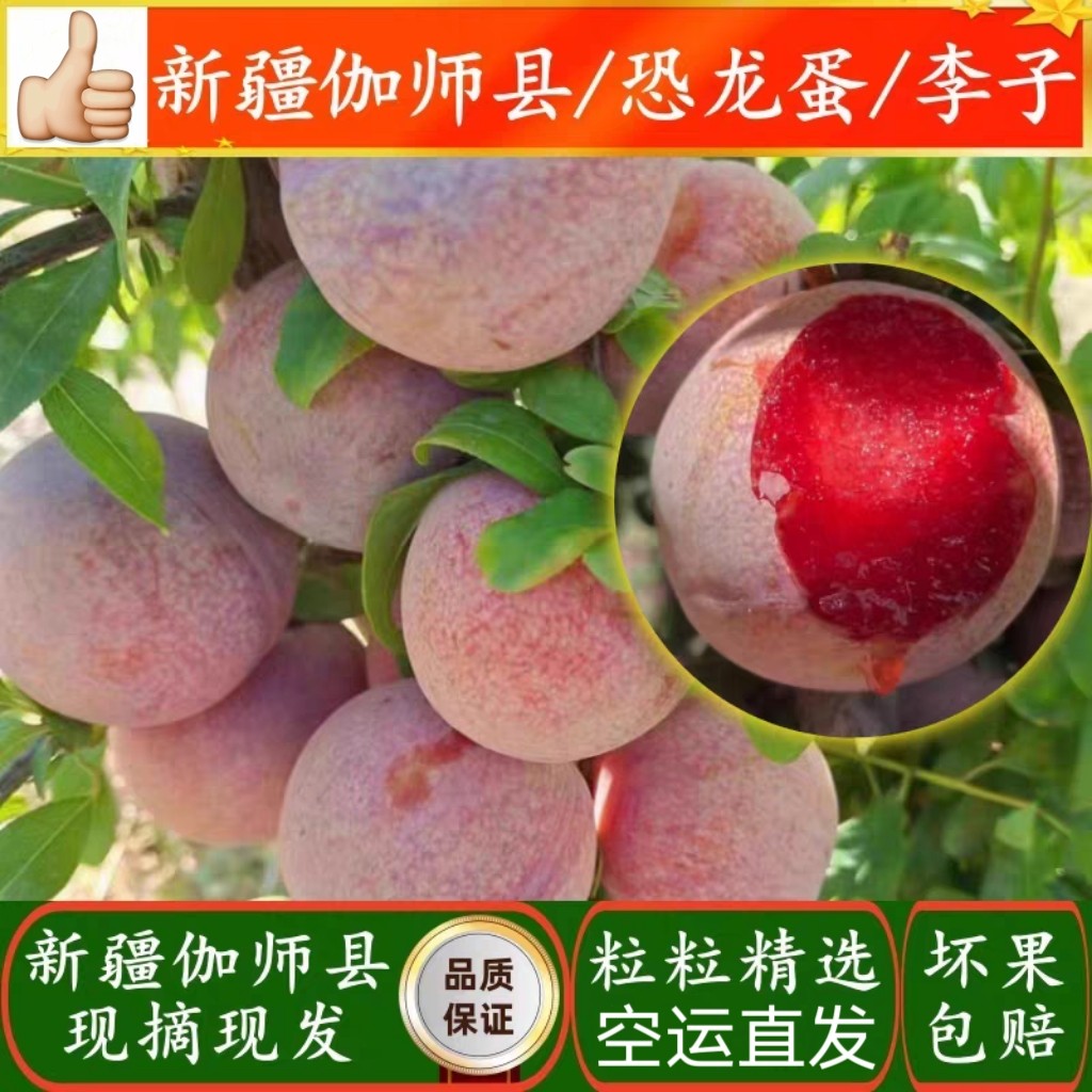 西域鲜果