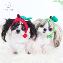 Lazy Pet Korean cute cat dog Pet green apple and red apple autumn winter knitted hat