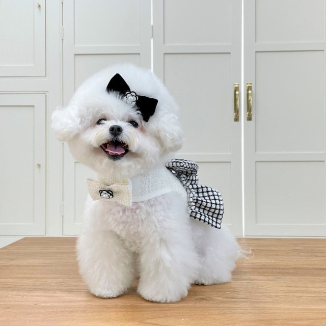 LazyPet Korea ການຊື້ສັດລ້ຽງ cat ແລະ dog pearl monochrome flower lace bow ribbon hairpin