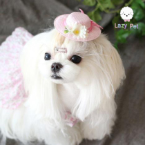 Lazy Pet Korean cute dog Pet Summer Lady three-dimensional flower sun hat hairclip