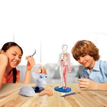 Spot Smart lab childrens science experiment human brain cognitive stereo model STEAM toy