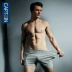 Quần lót, quần short pyjama cotton, bốn góc lỏng lẻo, quần dài, quần nam đơn giản, ba quần Quần tây
