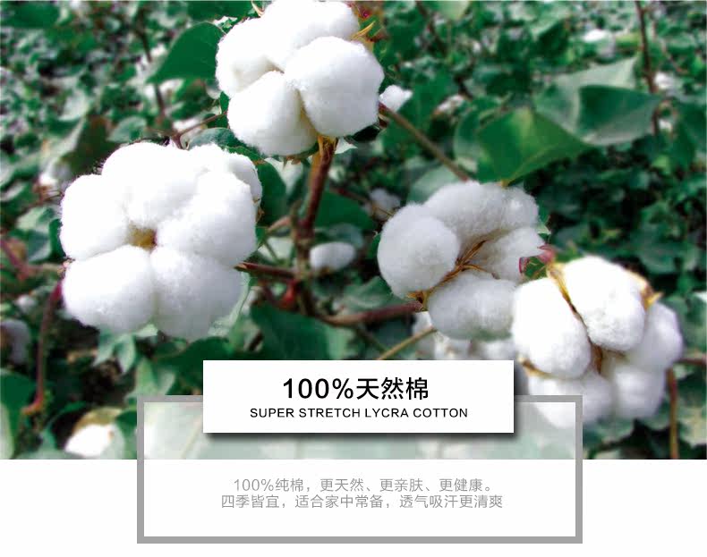 Chaussettes - collants PLAYBOY 2868A - Ref 756988 Image 8