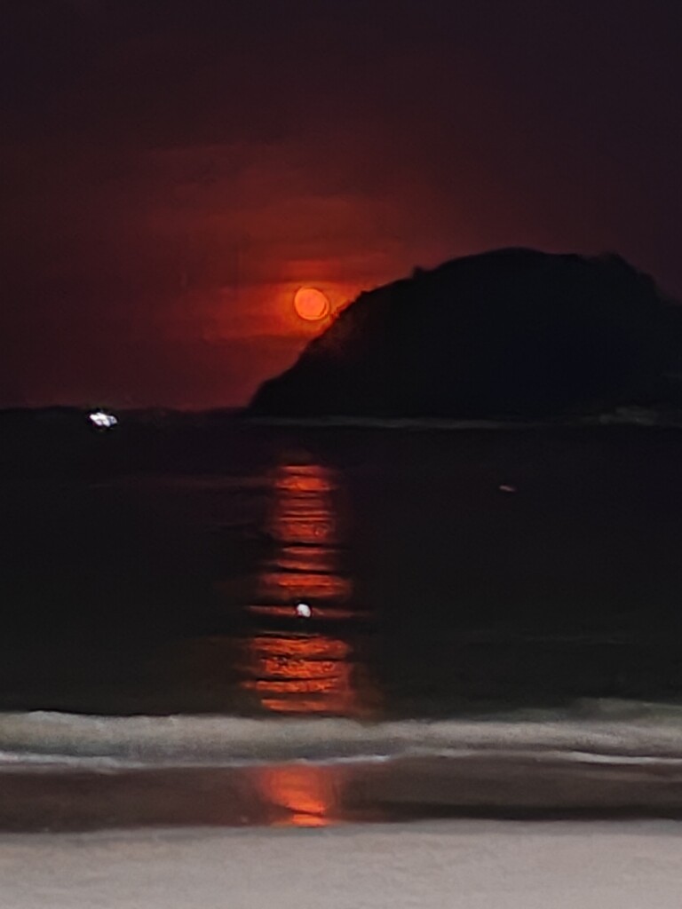 轻奢壳之家