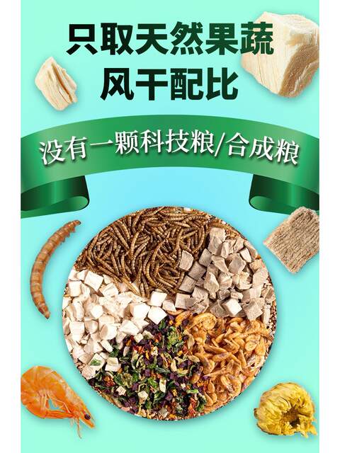ອາຫານ hamster ໂພຊະນາການອາຫານຫຼັກອາຫານ freeze-dried golden bear ອາຫານພິເສດທີ່ກະກຽມດ້ວຍຕົນເອງ ອາຫານອາຫານຫນູ