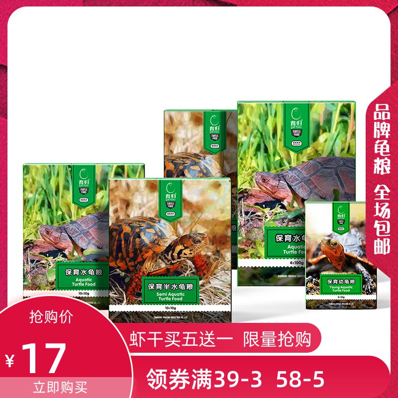 Breeding turtle food Conservation series Yellow-throated grass turtle Brazilian turtle Water turtle food Yellow edge yellow frontal saw edge box turtle Semi-water turtle food