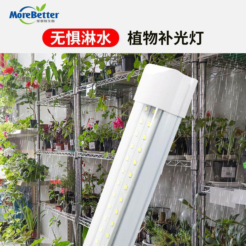 茉钡特生物 防水全光谱T8LED灯管植物补光灯防淋水大棚户外蔬菜