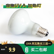 Reptile box uva heating day lamp Sun lamp Lizard Turtle Palace pet supplies Insulation lamp climbing pet heating bubble