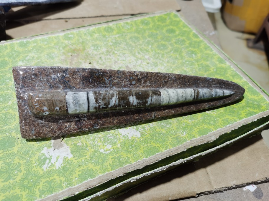 Corner Stone Morocco Denier Corner Stone Otauji Ancient Biofossil Pendulum Pieces Office Collections Teaching Specimens-Taobao