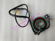 Motorcycle tricycle CG125 150175 200 engine 18 level magneto ignition power generation coil