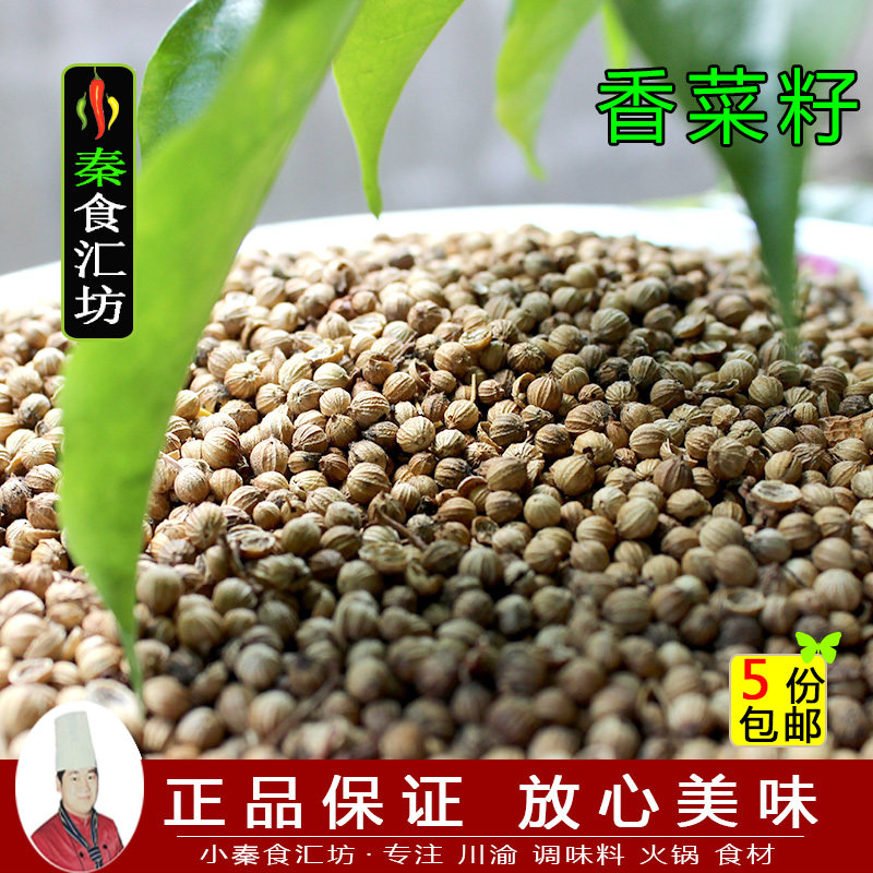 Meta-beard cilantro cilantro 50g round shall be served with parsley Chongqing local farmhouse coriander seed potted seed sauce
