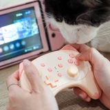 Видеоигр шины NS Accessory