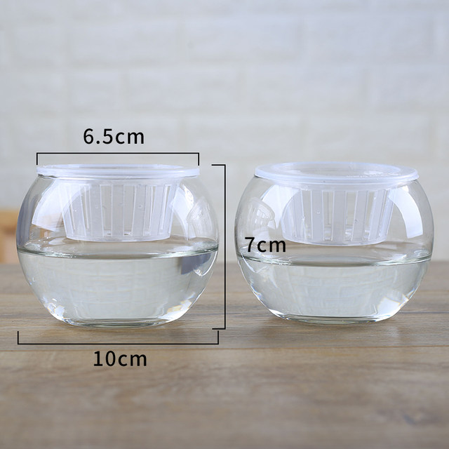 2 simple transparent glass vases for 9.9 yuan, hydroponic plants, pothos vases, copper money grass flowerpots, desktop vase