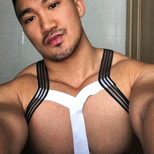 Нагрудный ремень для спортзала, костюм, сексуальное нижнее белье, косплей