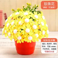 17 стиль горшка с цветами с жемчугом