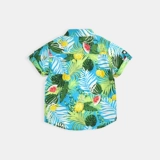 Летняя тонкая пляжная рубашка для мальчиков, короткий рукав, пляжный стиль