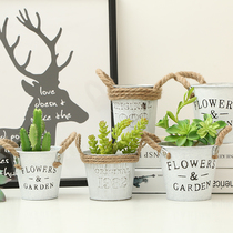 Pastoral old iron fleshy flower pot creative simple wrought iron green hemp rope put flower pot desktop decoration storage bucket