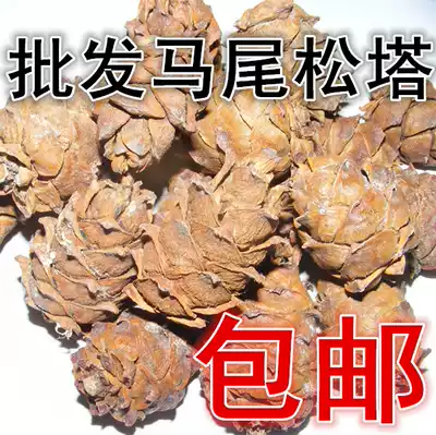 Bulk Daxinganling dry goods with Shell Raw horsetail small pine tree tower original rat nut 500g Yan pine Pine