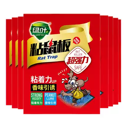 Green leaf sticky mouse board super strong to kill mouse paste mouse mouse board