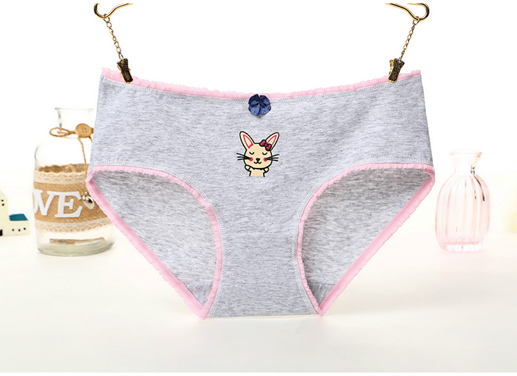 Bốn mùa phim hoạt hình anime cotton eo thấp cô gái đồ lót sinh viên cotton kích thước lớn eo chất béo tóm tắt hộp quà tặng quần lót nữ đẹp