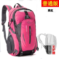 Красная роза