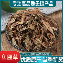 Chinese medicinal material Dried Houttuynia cordata Special grade dried Houttuynia cordata leaves soaked in water to drink Houttuynia cordata powder 500g