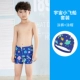 Trẻ em quần bơi bé trai boxer mũ trẻ em nhỏ khủng long cá mập dễ thương phim hoạt hình spa chia bé áo tắm - Bộ đồ bơi của Kid