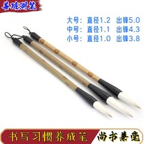 Huzhou Shanlian Hu brush calligraphy special Shangshu and pen for beginners and students medium-sized professional-level center