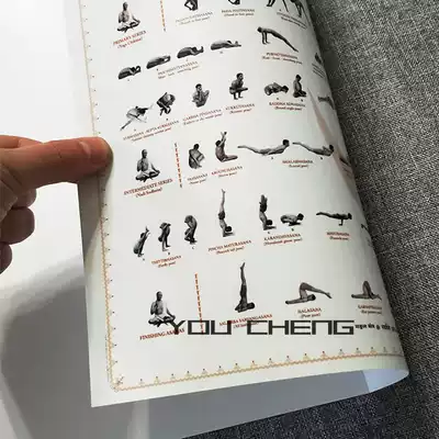 Dream Art Astanga yoga tandem style full-level wall chart high-definition color waterproof Astanga