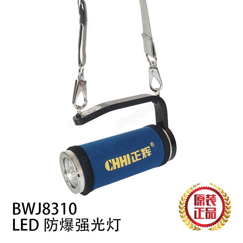 Led Explosion-Proof Strong Light Lamp Bwj8310/A/B Genuine Zhenghui Portable Searchlight Firefighter Lighting Fixture