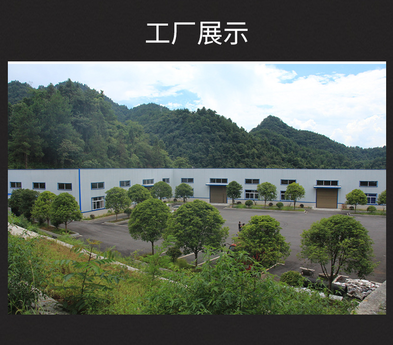 牛肉粒（老包装-袋装60克）_20