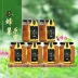 TV có ong giống như kho báu mật ong nhai mật ong để ăn mật ong Yelang mật ong đất mật tự nhiên nguyên chất - TV TV