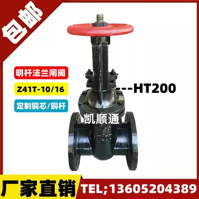 HT200 Cast iron clear rod flanged copper core gate valve DN50 65 80 100 125 150 200 250 300