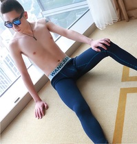 Buy 2 free underwear plus plush thick men slim single piece autumn winter low waist youth base cotton wool pants