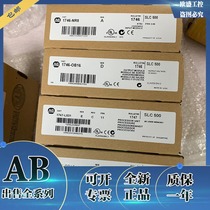 1746-NR8 1746-P2 1746-OB16 Rockwell AB module