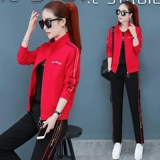 Весенний модный спортивный костюм, кардиган, футболка, толстовка, осенний комплект, 2020, городской стиль, в корейском стиле, большой размер, 3 предмета