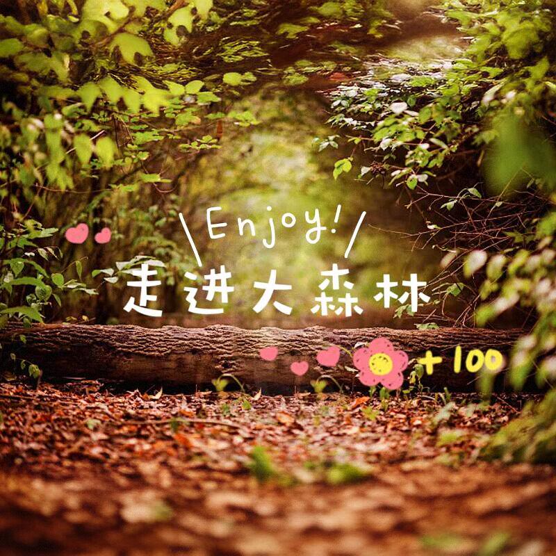大森林玩具之家的LOGO