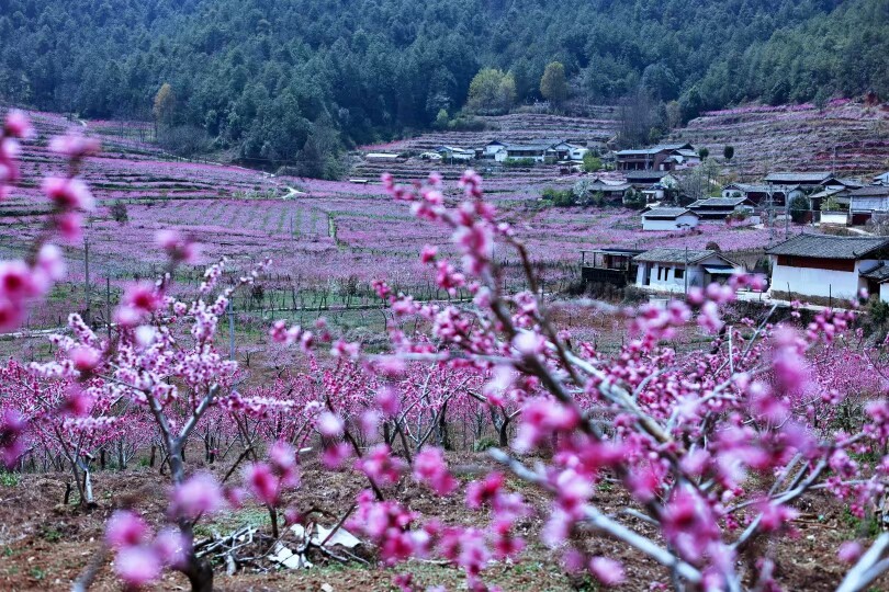 山与川 食