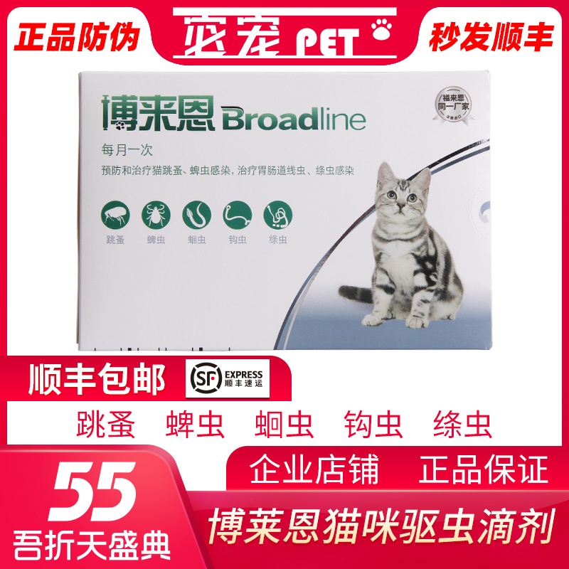 Folien 3 cat bodies inside and outside deworming drops in vitro repellent for fleas wall lice for roundworm and insect leppods