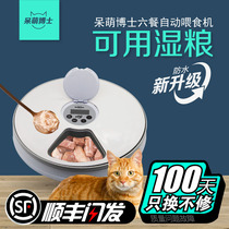 宠物智能泡软湿粮定时猫咪自动喂食器幼猫犬粮罐头猫条投喂药出粮